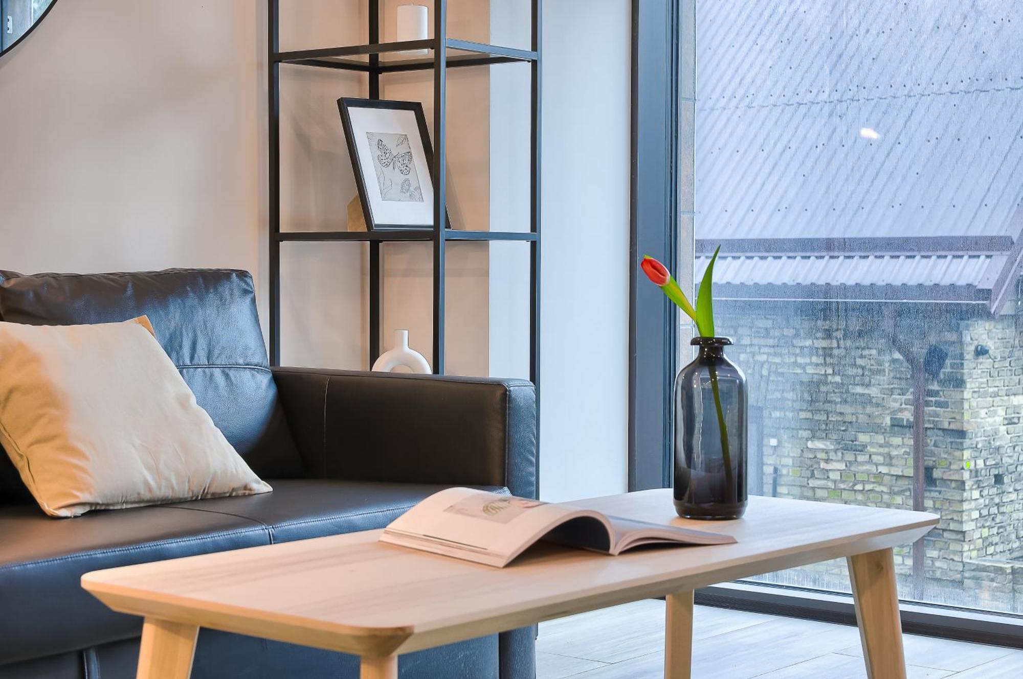 Business-Class Apartments 2 X Free Parking X Self Check In 24X7 VNO Extérieur photo